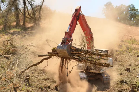 track hoe excavator clearing trees and brush from a hillside in preperation for a new commerical construction developmen